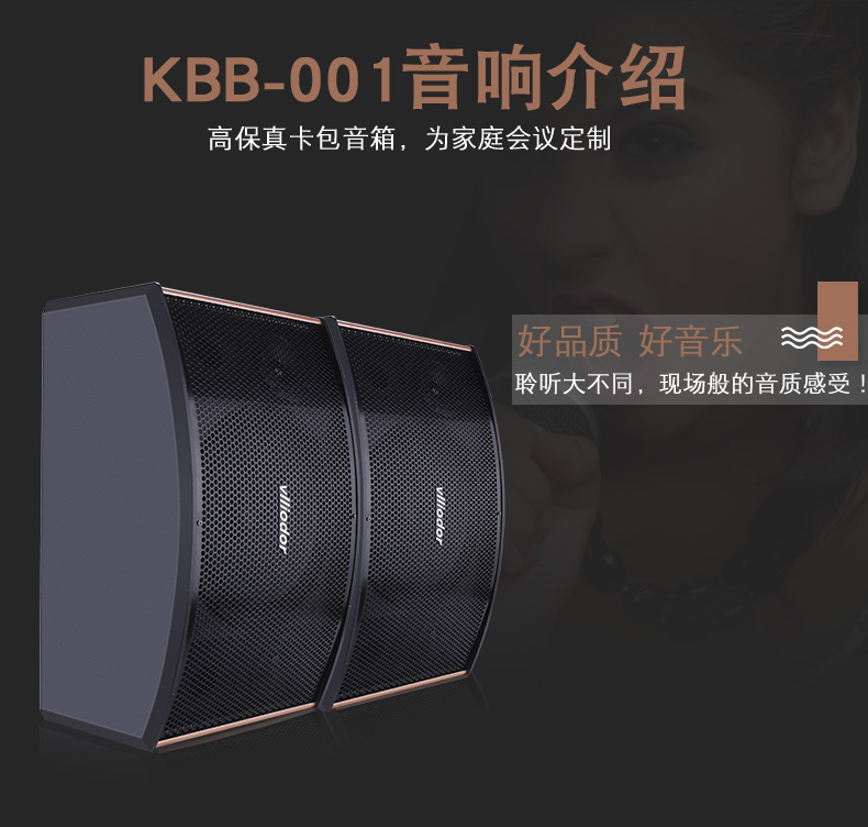 KBB001+专业高级10寸KTV音箱（一对）