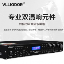 DS-8081玫瑰金升降调蓝牙双数字KTV专用高级前置混响