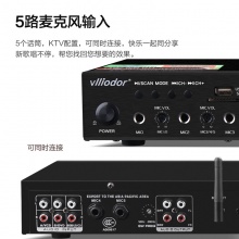 DS-8081玫瑰金升降调蓝牙双数字KTV专用高级前置混响