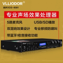 DS-8081玫瑰金升降调蓝牙双数字KTV专用高级前置混响