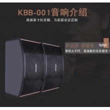 KBB001+专业高级10寸KTV音箱（一对）