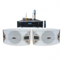 AP-650B三合一纯数字豪华10寸白色音箱